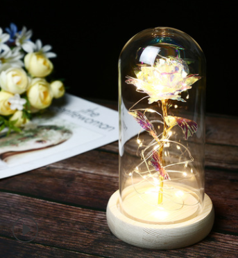 Beauty And The Beast Rose In LED Glass