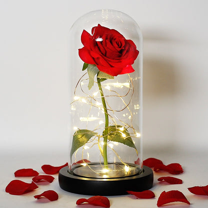 Beauty And The Beast Rose In LED Glass