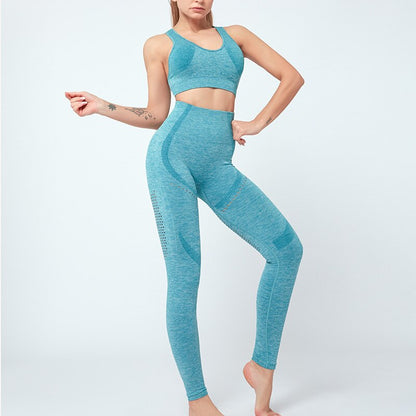 2 Piece Yoga Suit