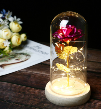 Beauty And The Beast Rose In LED Glass