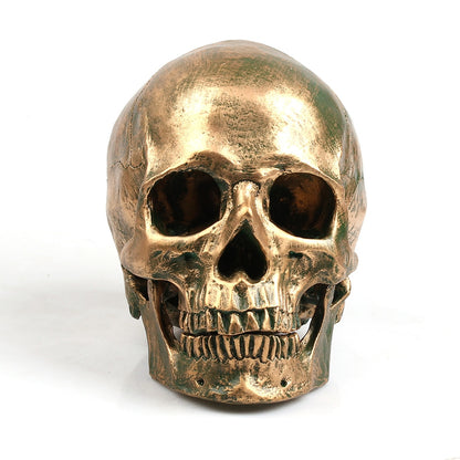 bronze resin skull model home decor