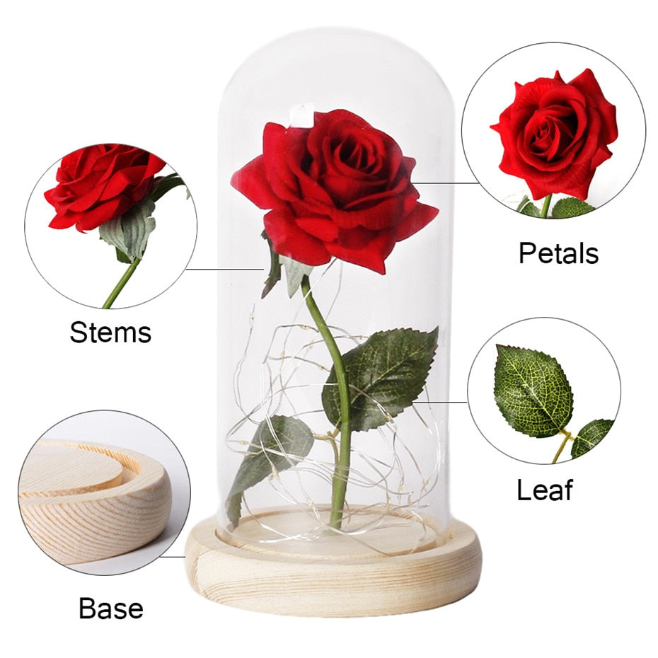 Beauty And The Beast Rose In LED Glass