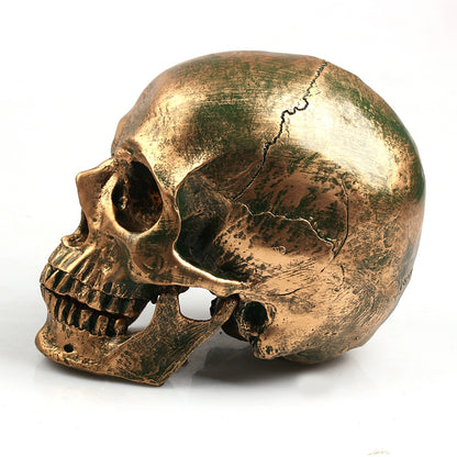 bronze resin skull model home decor