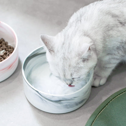 Marbling Ceramic Double Bowl For Pet