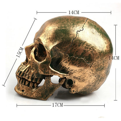 bronze resin skull model home decor