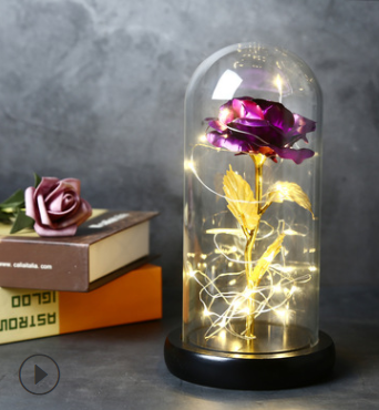 Beauty And The Beast Rose In LED Glass