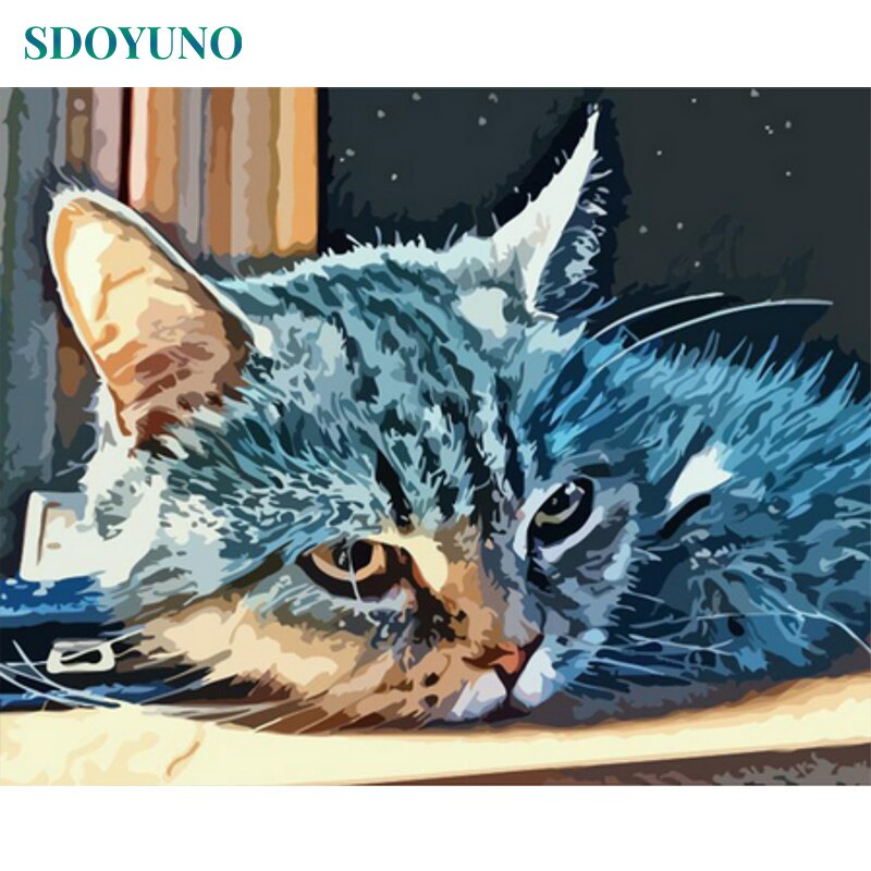 SDOYUNO 50x65cm DIY Frameless oil Painting By Numbers Animals Cat Room Decoration Paint By Numbers For Home Decor Unique Gift