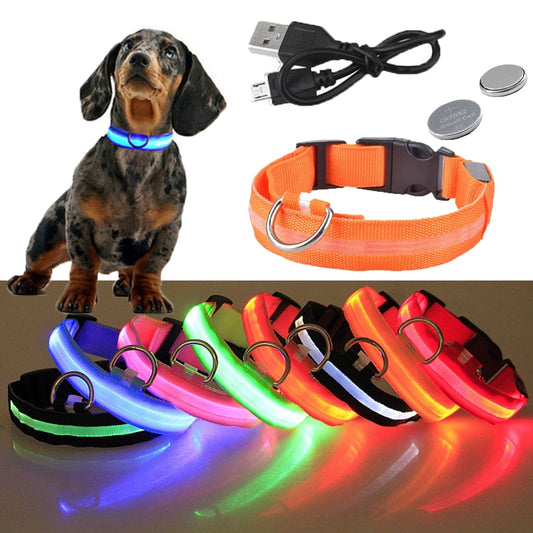 Dog LED Glowing Collar (USB Charging)