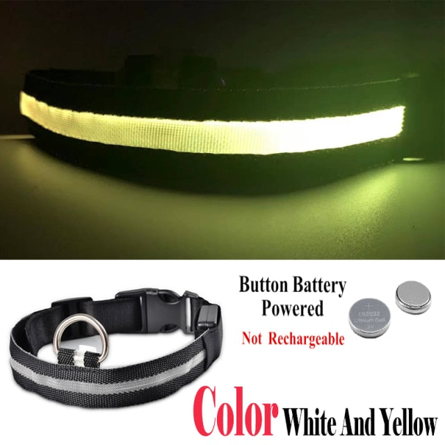 Dog LED Glowing Collar (USB Charging)