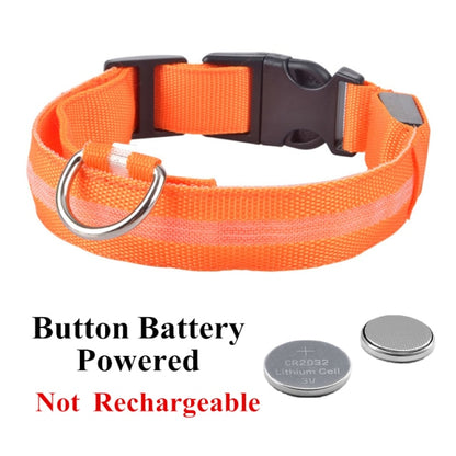 Dog LED Glowing Collar (USB Charging)