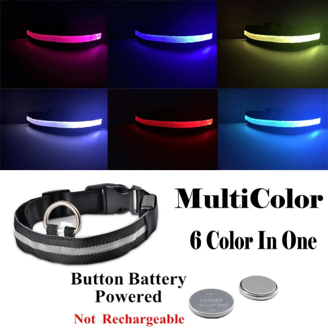 Dog LED Glowing Collar (USB Charging)