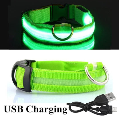 Dog LED Glowing Collar (USB Charging)