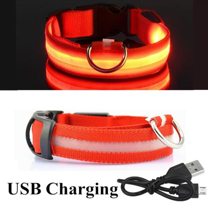 Dog LED Glowing Collar (USB Charging)