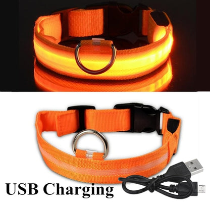 Dog LED Glowing Collar (USB Charging)