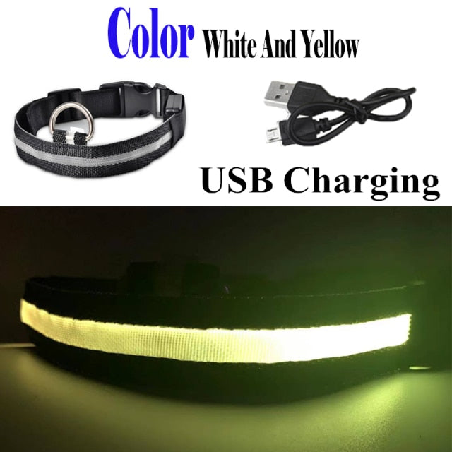 Dog LED Glowing Collar (USB Charging)