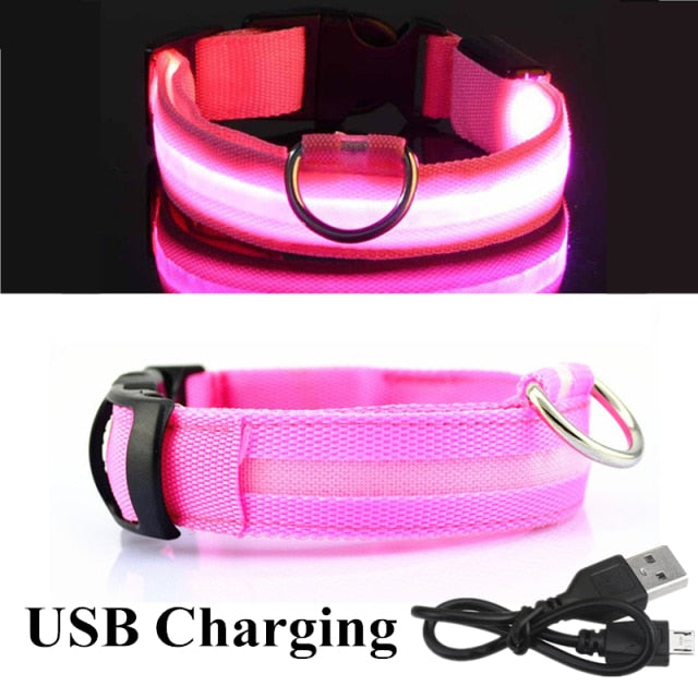 Dog LED Glowing Collar (USB Charging)