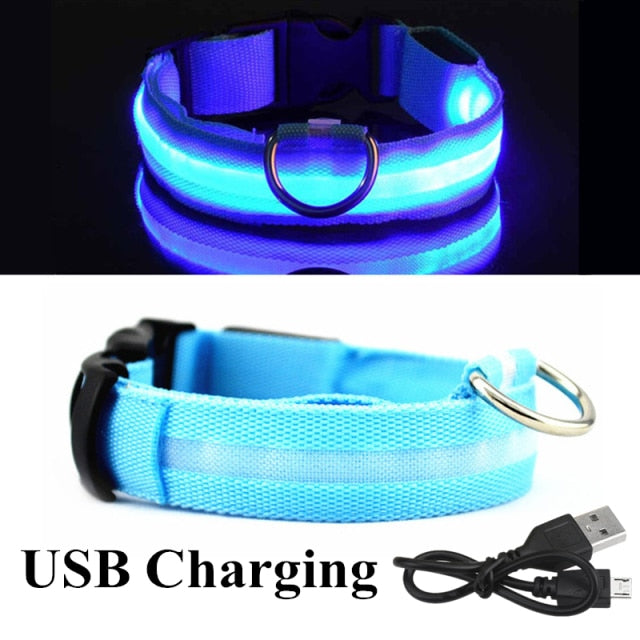 Dog LED Glowing Collar (USB Charging)