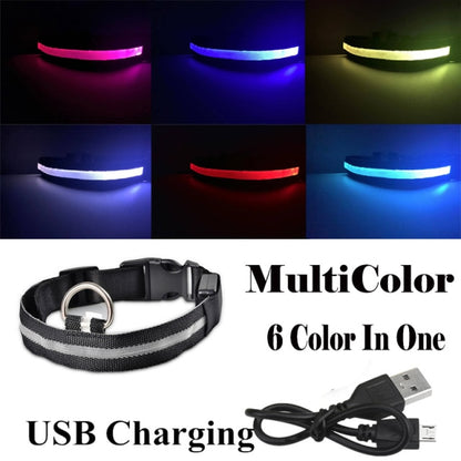 Dog LED Glowing Collar (USB Charging)